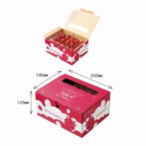 RIZAPmuscle ストロベリー味　2箱セット RIZAPmuscle ストロベリー味 2箱セット