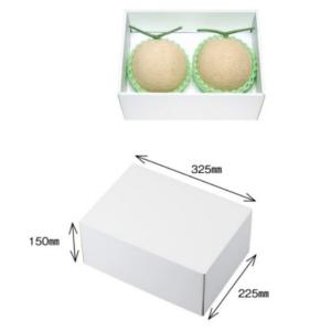 25枚】DXメロン下札 黒 フルーツ 果物 贈答 箱 ギフトボックス 25枚入