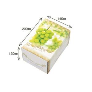 シャインマスカット 1ｋｇ フルーツ 果物 贈答 箱 ギフトボックス　（本体・蓋）10セット入