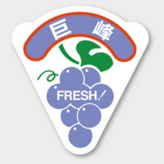 【500枚】H-203 巨峰 カミイソ産商 ラベル シール イベント ギフト 青果ラベル　500枚入