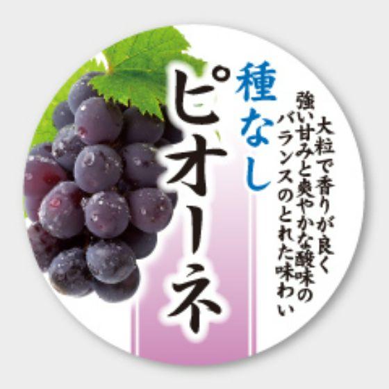 【300枚】H-211 ピオーネ カミイソ産商 ラベル シール イベント ギフト 青果ラベル　300...