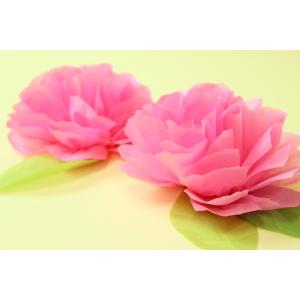 【あすつく対応/メール便可(1袋まで)】お花紙...の詳細画像4