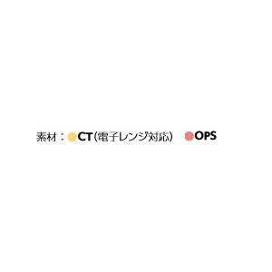 CTガチ重IK18-13 BK 身・透明蓋セッ...の詳細画像1