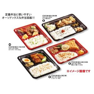 CTガチ弁L IK24-20A BK ブラック...の詳細画像2