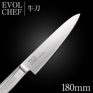 包丁 柳刃包丁 30cm 泉源兼光 INOX handle 和包丁 刺身 300mm キッチン