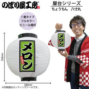 提灯 ちょうちん ソケット 電球 白熱 LED 提灯ソケット 4個用 44564 祭 