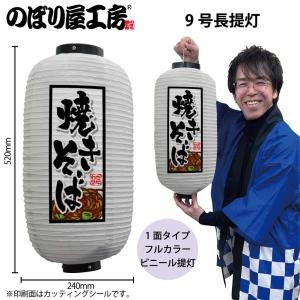 提灯 ちょうちん ビニール提灯 44213 スーパーボールすくい 9号長 白