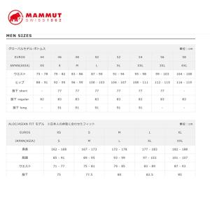 マムート MAMMUT ストーニー ハードシェ...の詳細画像3