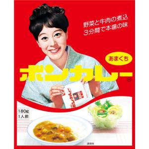 沖縄限定パッケージ！ 【ボンカレー　甘口】180g  1個