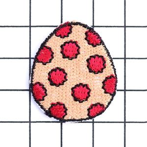 ワッペン 恐竜の卵(たまご) 恐竜時代 最大横...の詳細画像5