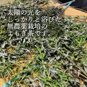 よもぎのお茶 国産無農薬天日干し 無添加 デトックスの詳細画像2
