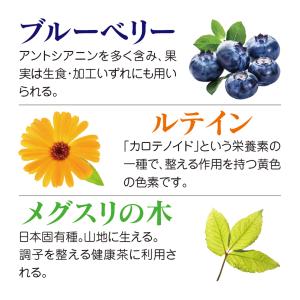 ブルーベリー ルテイン 約3ヵ月分 メグスリノ...の詳細画像1