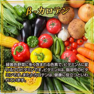 ブルーベリー ルテイン 約3ヵ月分 メグスリノ...の詳細画像5