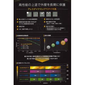 アレスダイナミックトップ 15kg 標準色(淡...の詳細画像3