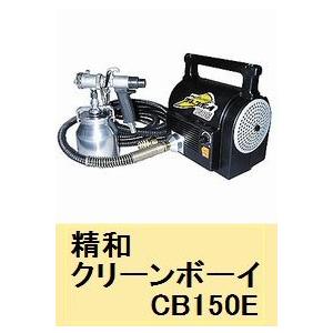 ワイヤレスカメラ らくらくみるサーチミニ CMS-WC1/DENSAN : ペイント