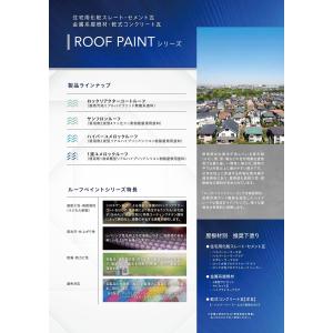ロックペイント ハイパーユメロックルーフ 15...の詳細画像2