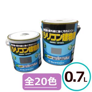 ロックペイント 床・ベランダ防水 2kg 水性 上塗り 塗料 防水塗料