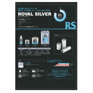 ローバルシルバースプレー ROVAL SILV...の詳細画像1