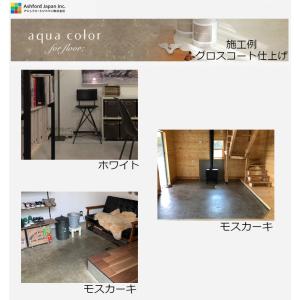 アクアカラー カラーピグメント(単品) ミッド...の詳細画像1