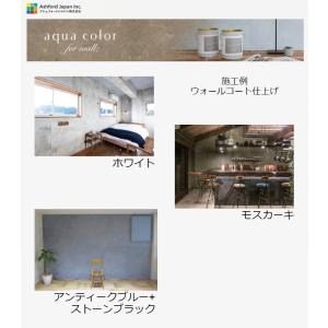 アクアカラー カラーピグメント(単品) ミッド...の詳細画像3
