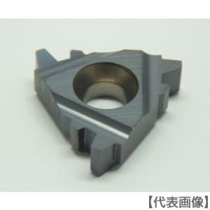 イスカル D チップ COAT（16ER 14 NPT）202-9057 【イスカル