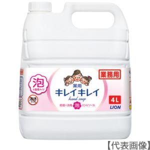 キレイキレイ ライオン キレイキレイ 薬用泡ハンドソープ シトラス