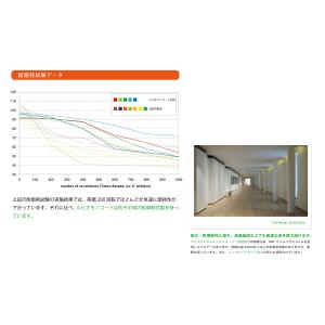 内装用 ルビオモノコートオイルプラスA #11...の詳細画像1
