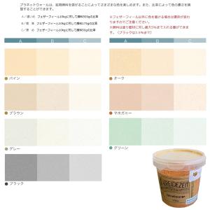 プラネットウォール専用 鉱物顔料 500g【プラネットジャパン