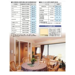 水性塗料 【つや消し 日塗工 N-70】 マン...の詳細画像2