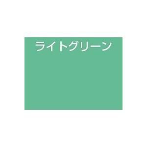 アトムハウスペイント 池用塗料 0.7L ライ...の詳細画像1