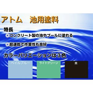 アトムハウスペイント 池用塗料 0.7L ライ...の詳細画像2