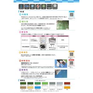 アトミクス フロアトップアクア フォルティス ...の詳細画像3