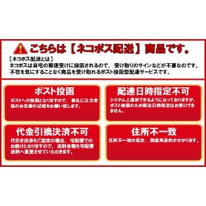 TOHO特製うるし塗料 10g各色(クロネコゆ...の詳細画像2
