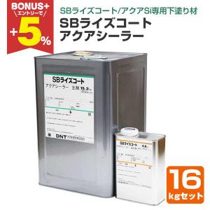 SBライズコート アクアSi 3分艶 クリヤー 15kg （大日本塗料 
