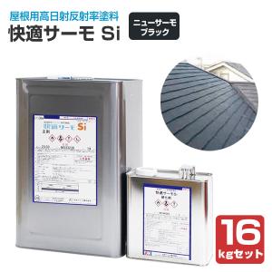 ミラクシーラーEPO 15kgセット（エスケー化研/下塗り/2液） : ペイント 