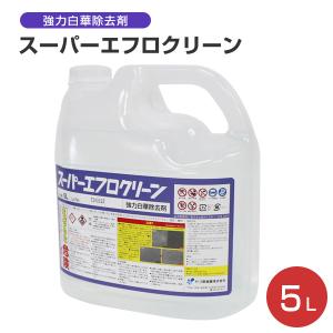 強力白華除去剤 スーパーエフロクリーン 5L（ヤブ原産業/業務用/強酸性）｜paintjoy