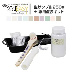 EF漆喰EASY 生サンプル250g ＋ 専用塗装キット （STK-37N） しっくい お試しセット 水性 塗料｜paintjoy