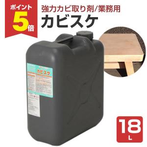 BONUS+5%】 水系パワーシーラーII 16kg （下塗り材/水谷ペイント