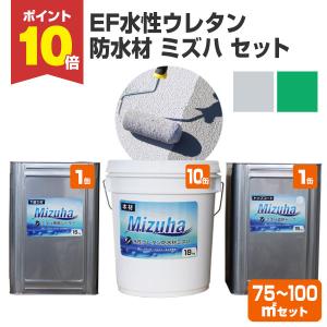 【5/1〜5/30限定P5倍】EF水性ウレタン防水材ミズハ 75〜100平米セット　1液水性ウレタン防水塗料 屋上 ベランダ DIY【防水CP】｜paintjoy