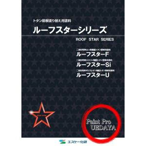 ルーフスターSi 標準色 艶有り 16kgセット(主剤:14kg 硬化剤:2kg 