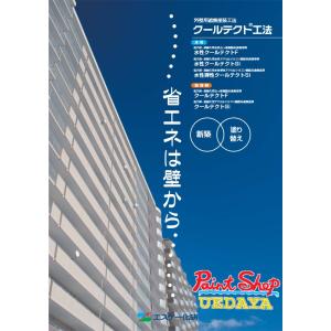 水性クールテクトSi　艶有　16kg　外壁用遮熱塗装工法 　エスケー化研