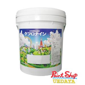 菊水化学工業 キクスイ SPパワーフッ素 15K 艶有 提案色 : ペイント