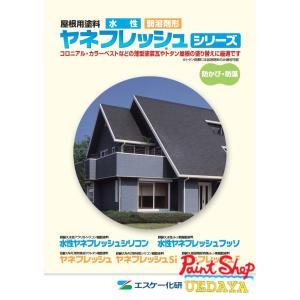水性ヤネフレッシュシリコン 艶消し黒（RC-110スレートブラック） 15kg 