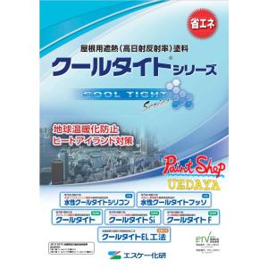 クールタイト　16Kセット　A色　３分艶　屋根用遮熱塗料　ウレタン 　エスケー化研｜paintshop-uedaya