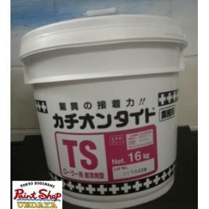 BONUS+5%】 カチオンタイト FS 硬化液 14kg （ヤブ原産業/コテ用耐溶剤