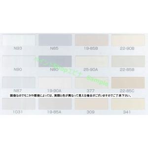 ケンエースG-2 淡彩色 16kg カチオン形...の詳細画像1