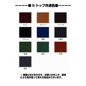 Sun瓦 Sトップ エナメル共通色 15kg ...の詳細画像1