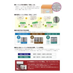 オートンイクシード 320mlカートリッジ10...の詳細画像1