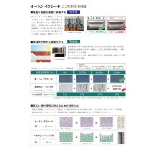 オートンイクシード 320mlカートリッジ10...の詳細画像2