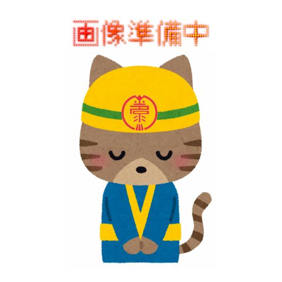 ビーズコートフレッシュBIO つや消し 20kg 中彩標準色 強力防かび・防藻タイプ意匠仕上塗材塗替...